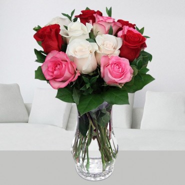 Carnival Of 12 mixed Roses 